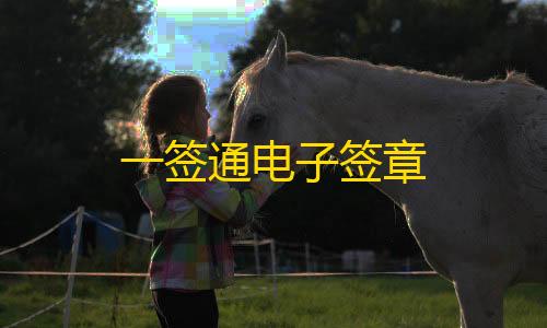 第五人格透视挂一签通电子签章